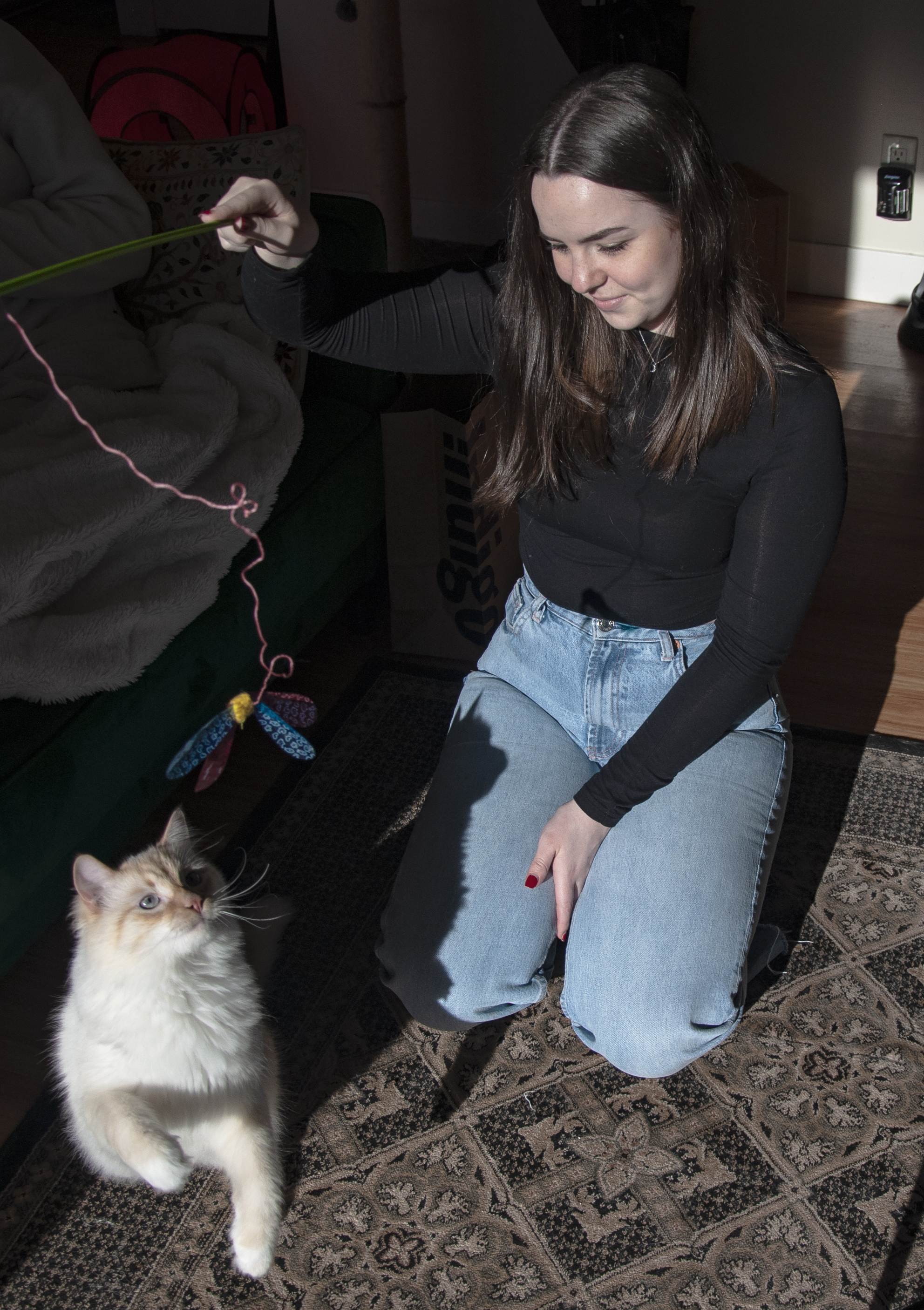 Girl playing with her cat